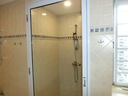 Cairnhill Plaza (D9), Apartment #588663211